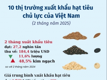 10 thị trường xuất khẩu hạt tiêu chủ lực của Việt Nam