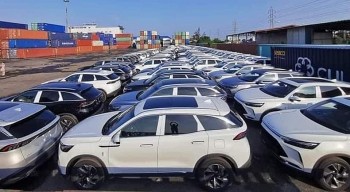 Việt Nam ưa chuộng mua ô tô nhập từ Thái Lan, Indonesia