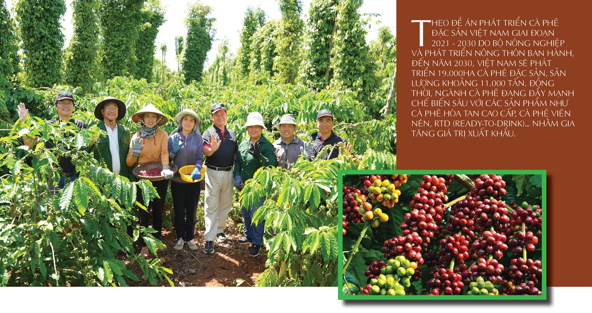 Nâng tầm thương hiệu cà phê Việt trên đất đỏ Tây Nguyên