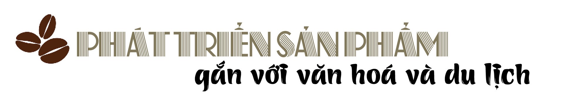 Nâng tầm thương hiệu cà phê Việt trên đất đỏ Tây Nguyên