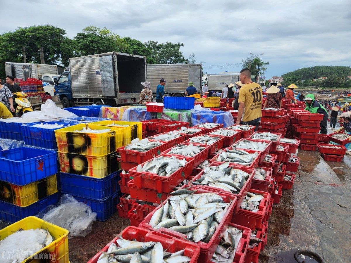 Kinh tế biển đã góp phần vào phát triển kinh tế xã hội