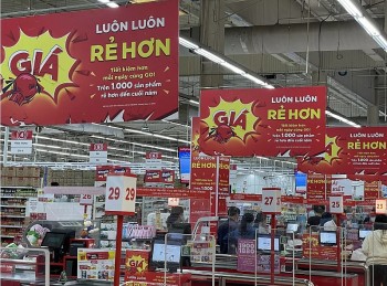 Người Việt dành gần 30% thu nhập cho mặt hàng nào?