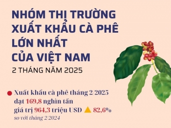 Infographic | Nhóm thị trường xuất khẩu cà phê lớn nhất