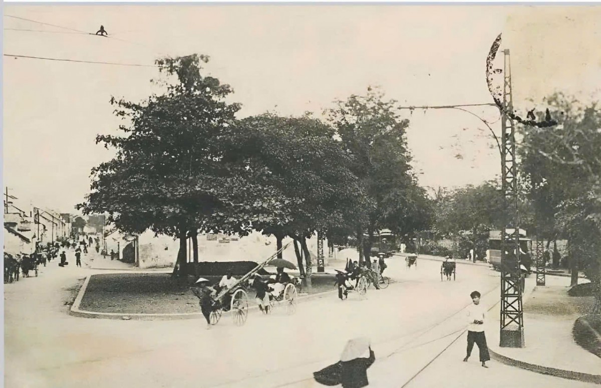 Đổ xô check-in nhà Hàm cá mập trước khi bị hạ giải