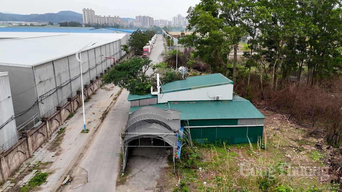 Vì sao nhiều hộ dân ‘bị bỏ rơi’ ở TP Móng Cái?