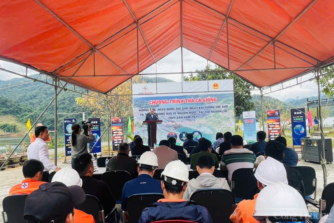 Chương trình thả cá giống xuống hồ thủy điện Sông Bung 2 là hoạt động thường niên do Công ty Thủy điện Sông Bung phối hợp với huyện Nam Giang tổ chức Chương trình thả cá giống xuống hồ thủy điện Sông Bung 2 là hoạt động thường niên do Công ty Thủy điện Sông Bung phối hợp với huyện Nam Giang tổ chức