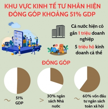 Infographic | Khu vực kinh tế tư nhân đóng góp khoảng 51% GDP
