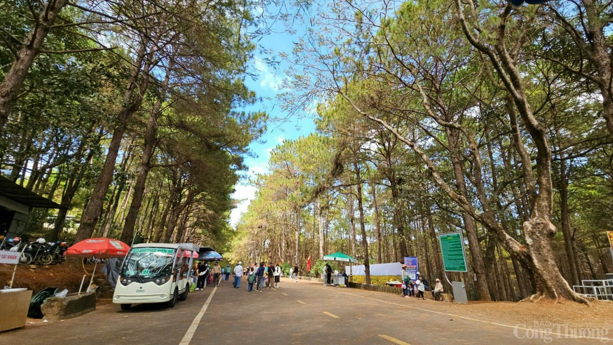 Nhìn lại chặng đường phát triển của Gia Lai trước sáp nhập Nhìn lại chặng đường phát triển của Gia Lai trước sáp nhập