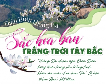 Điện Biên tháng Ba - Sắc hoa ban trắng trời Tây Bắc