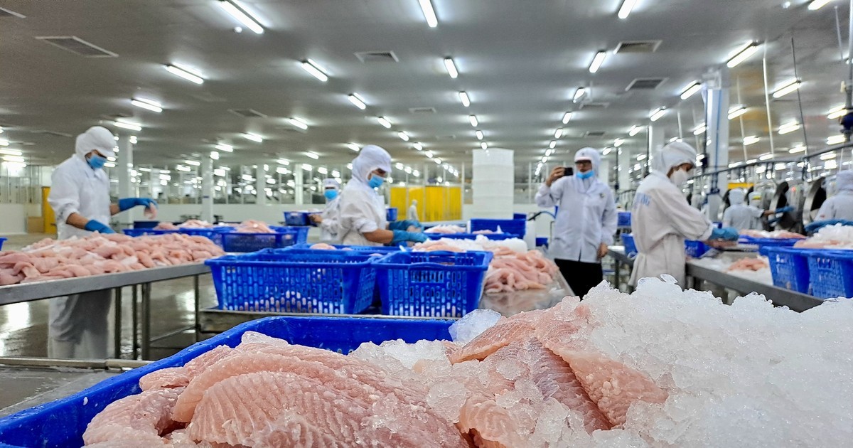 Ngành cá tra Việt Nam bứt phá tại thị trường Thái Lan