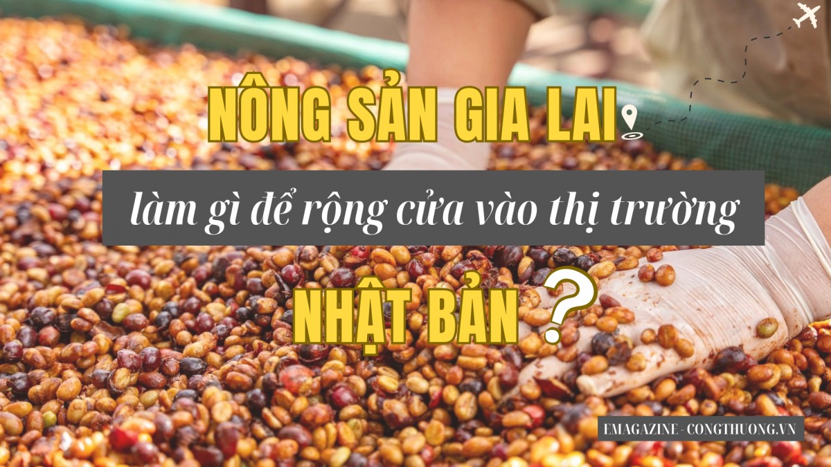 Nông sản Gia Lai làm gì để vào thị trường Nhật Bản? Nông sản Gia Lai làm gì để vào thị trường Nhật Bản?