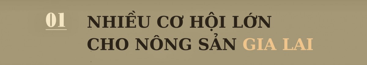 Nông sản Gia Lai làm gì để vào thị trường Nhật Bản? Nông sản Gia Lai làm gì để vào thị trường Nhật Bản?