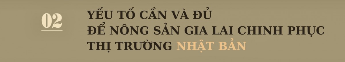 Nông sản Gia Lai làm gì để vào thị trường Nhật Bản? Nông sản Gia Lai làm gì để vào thị trường Nhật Bản?