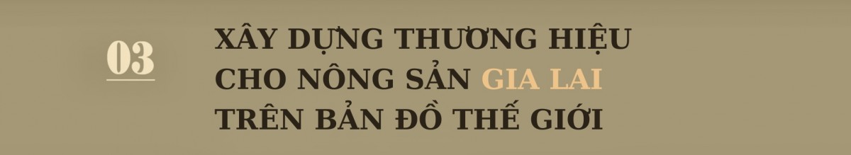 Nông sản Gia Lai làm gì để vào thị trường Nhật Bản? Nông sản Gia Lai làm gì để vào thị trường Nhật Bản?