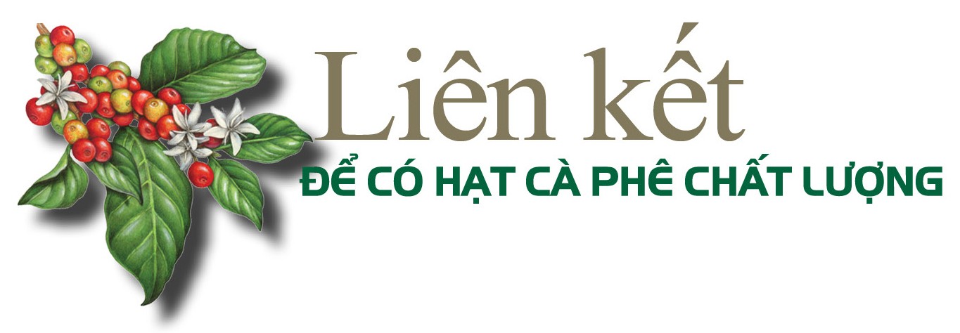 Longform | Sơn La: Cà phê Bích Thao và hành trình xây dựng thương hiệu Longform | Sơn La: Cà phê Bích Thao và hành trình xây dựng thương hiệu
