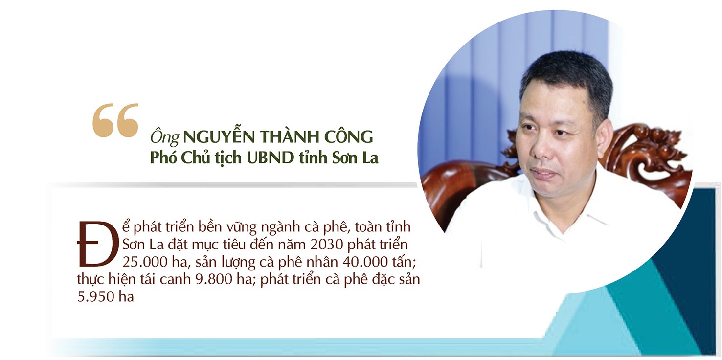 Longform | Sơn La: Cà phê Bích Thao và hành trình xây dựng thương hiệu Longform | Sơn La: Cà phê Bích Thao và hành trình xây dựng thương hiệu