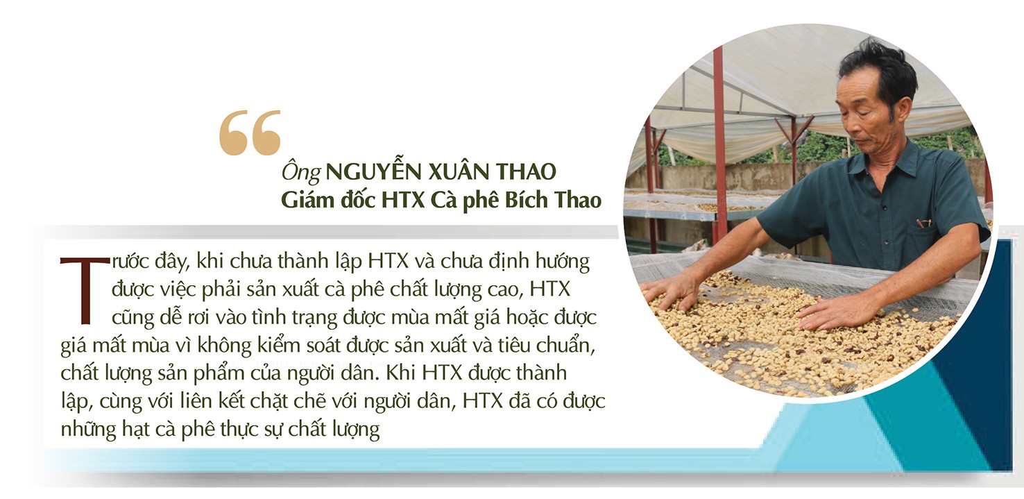 Longform | Sơn La: Cà phê Bích Thao và hành trình xây dựng thương hiệu Longform | Sơn La: Cà phê Bích Thao và hành trình xây dựng thương hiệu