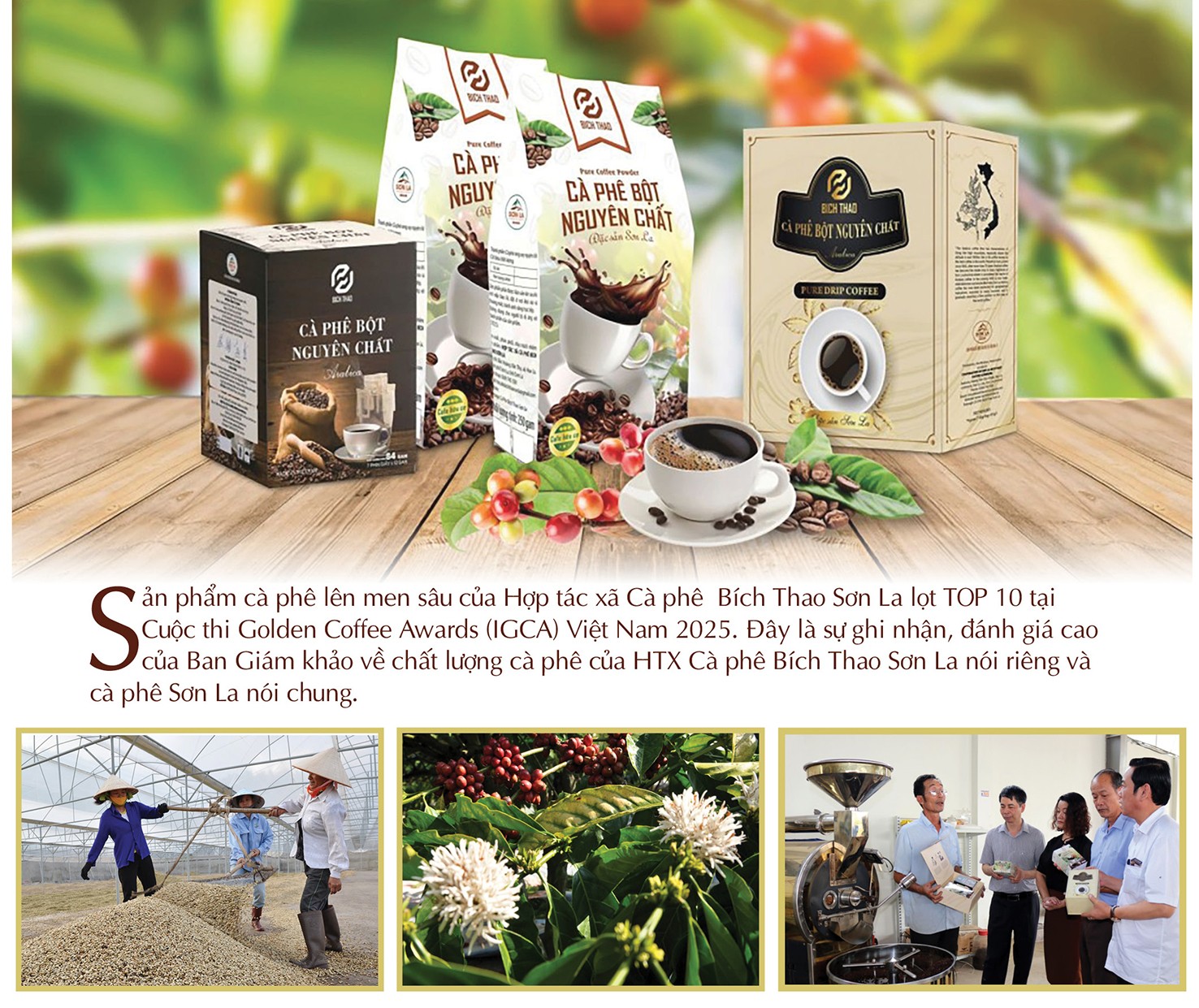 Longform | Sơn La: Cà phê Bích Thao và hành trình xây dựng thương hiệu Longform | Sơn La: Cà phê Bích Thao và hành trình xây dựng thương hiệu