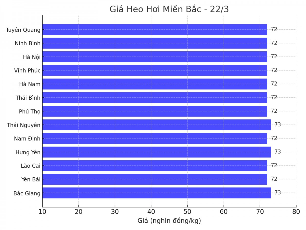 Biểu đồ giá heo hơi tại các tỉnh miền Bắc ngày 22/3. Biểu đồ giá heo hơi tại các tỉnh miền Bắc ngày 22/3.