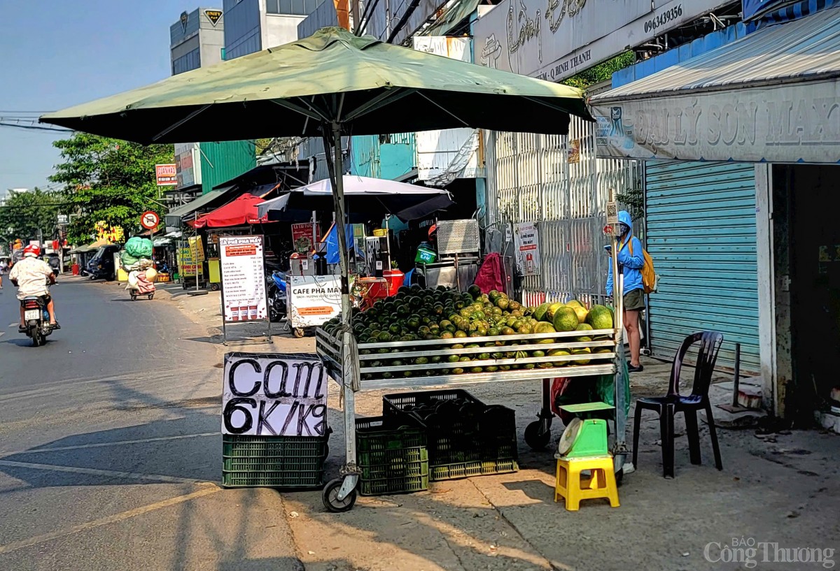 Vì sao Cam sành Vĩnh Long giá rẻ vẫn khó tiêu thụ?