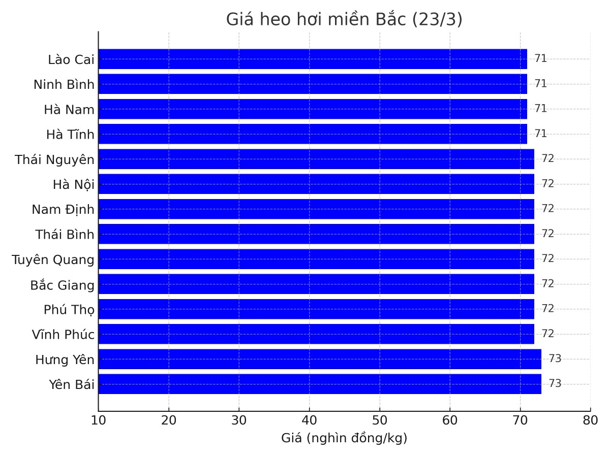 Biểu đồ giá heo hơi tại các tỉnh miền Bắc ngày 23/3. Biểu đồ giá heo hơi tại các tỉnh miền Bắc ngày 23/3.