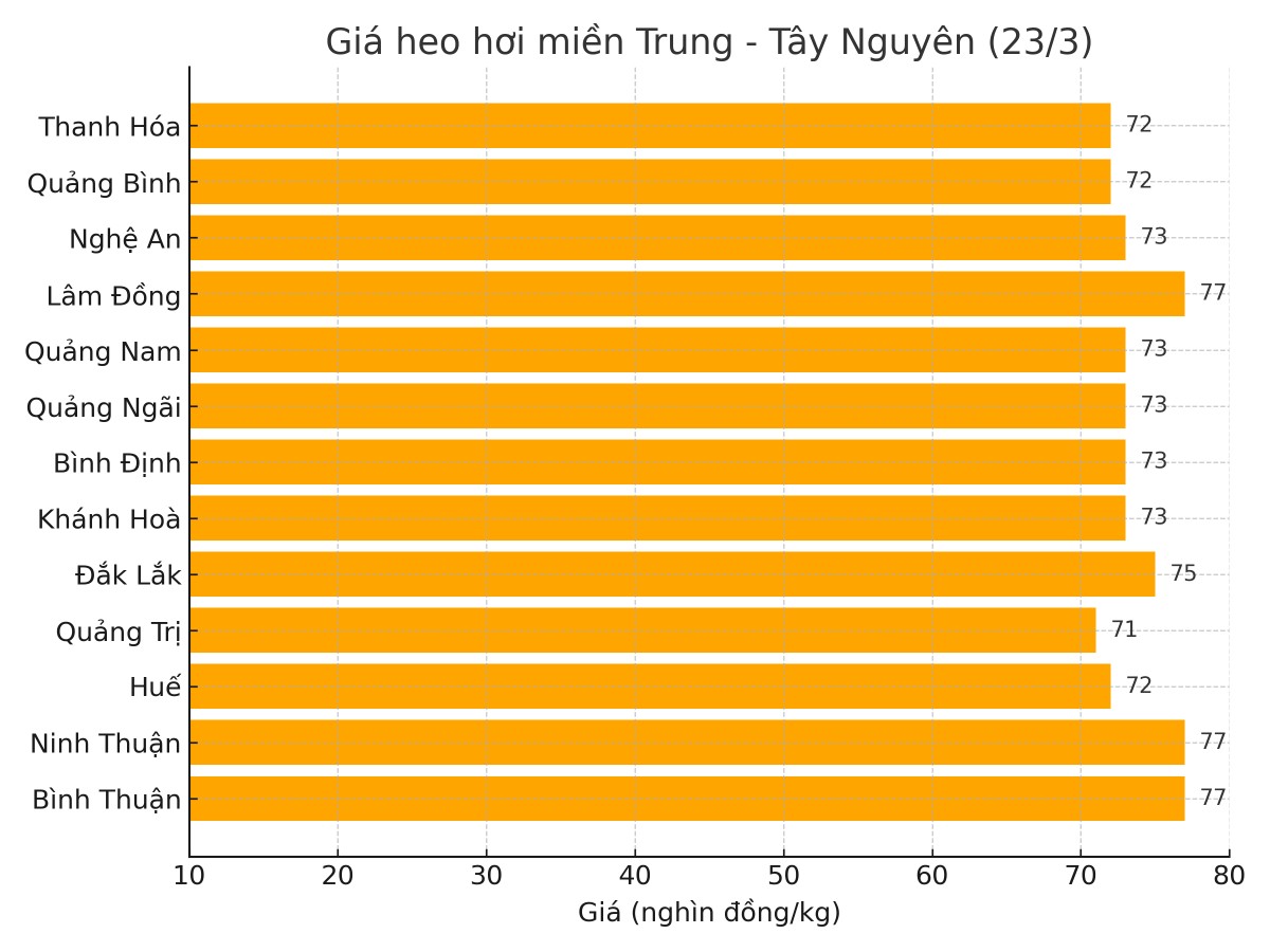 Biểu đồ giá heo hơi tại các tỉnh miền Trung - Tây Nguyên ngày 23/3. Biểu đồ giá heo hơi tại các tỉnh miền Trung - Tây Nguyên ngày 23/3.