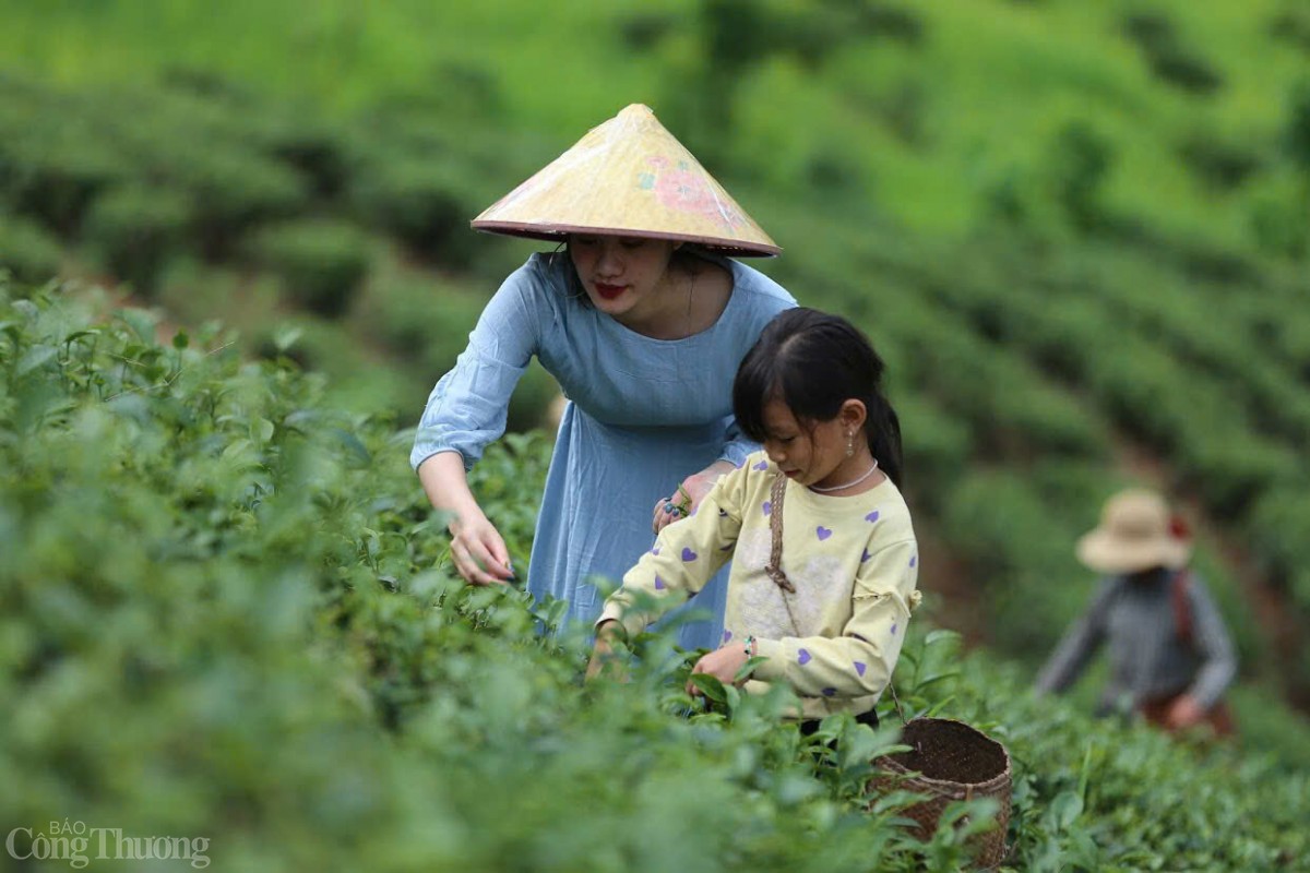 Du lịch đang là kênh kết nối tiêu thụ hàng hoá vùng dân tộc thiểu số quan trọng Du lịch đang là kênh kết nối tiêu thụ hàng hoá vùng dân tộc thiểu số quan trọng
