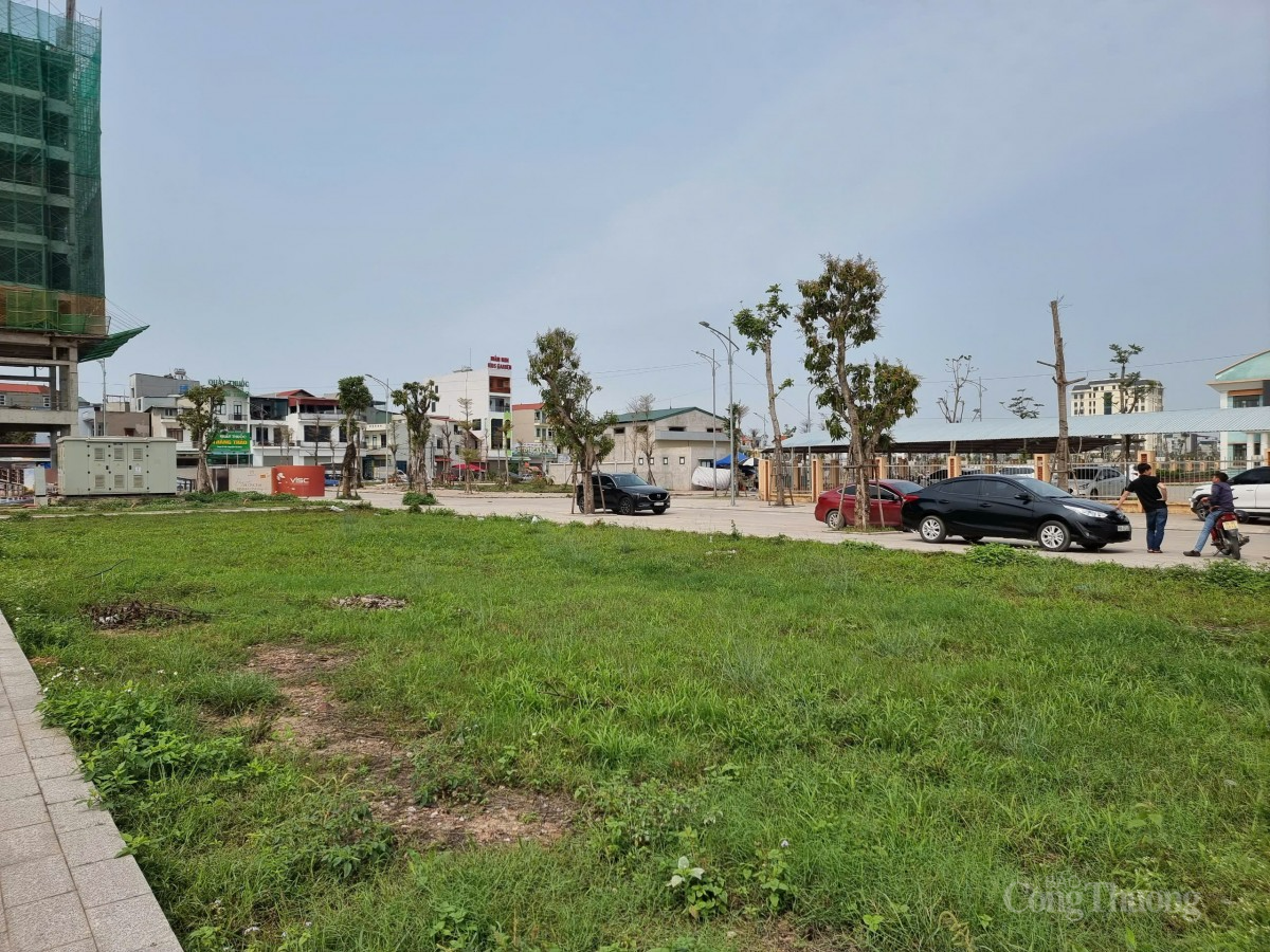 Bắc Giang: Giá đất tăng chóng mặt, môi giới kêu 'cháy' hàng trước tin đồn sáp nhập tỉnh