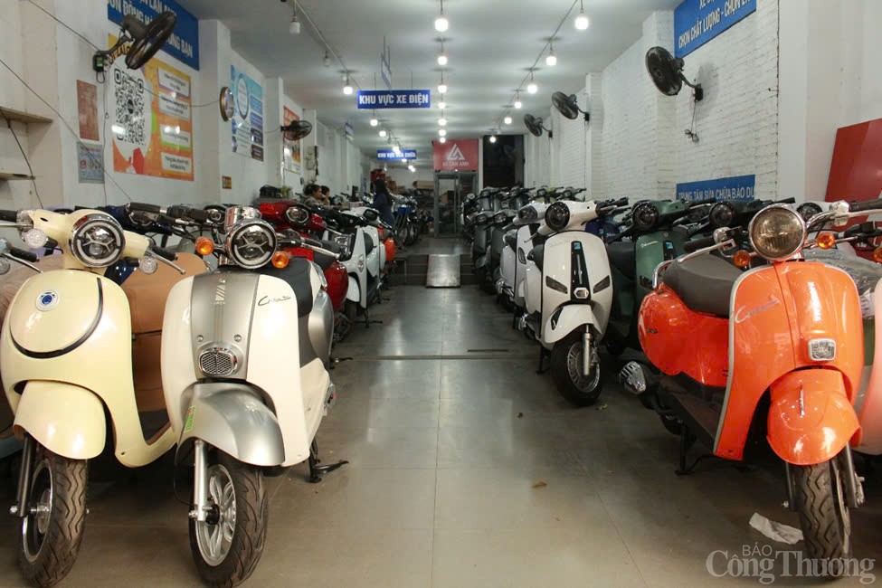 Các thương hiệu xe máy điện nội địa đang chiếm lĩnh thị trường với sự góp mặt của các tên tuổi lớn như VinFast, Pega, DK Bike. Ảnh: Huyền Trang
