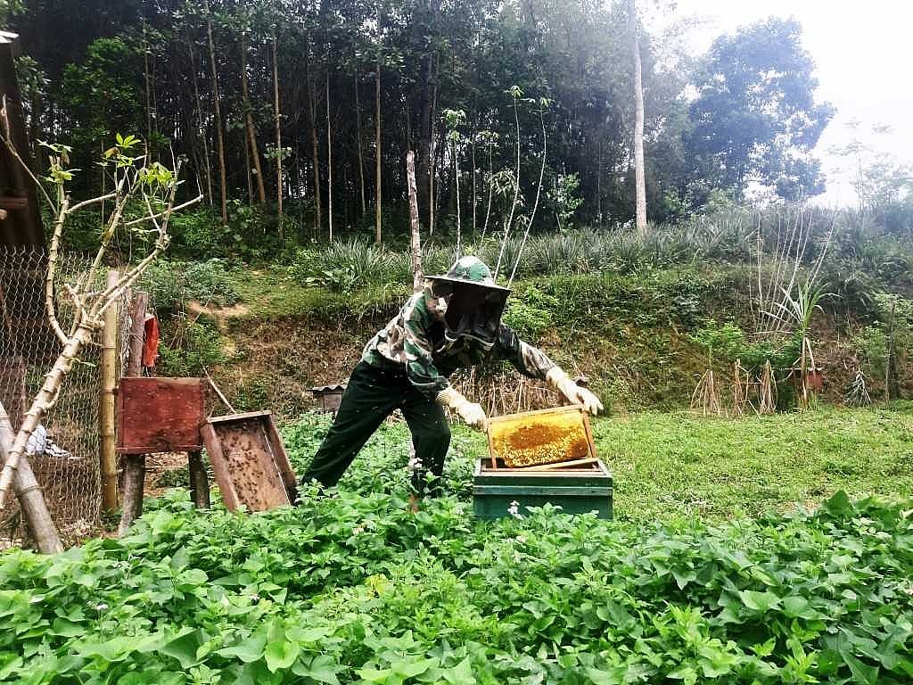 Cao Bằng: Nhiều giải pháp tiêu thụ nông sản cho bà con dân tộc Cao Bằng: Nhiều giải pháp tiêu thụ nông sản cho bà con dân tộc