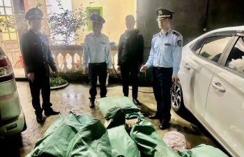 Lạng Sơn: Tạm giữ 1,3 tấn chân gà không rõ nguồn gốc