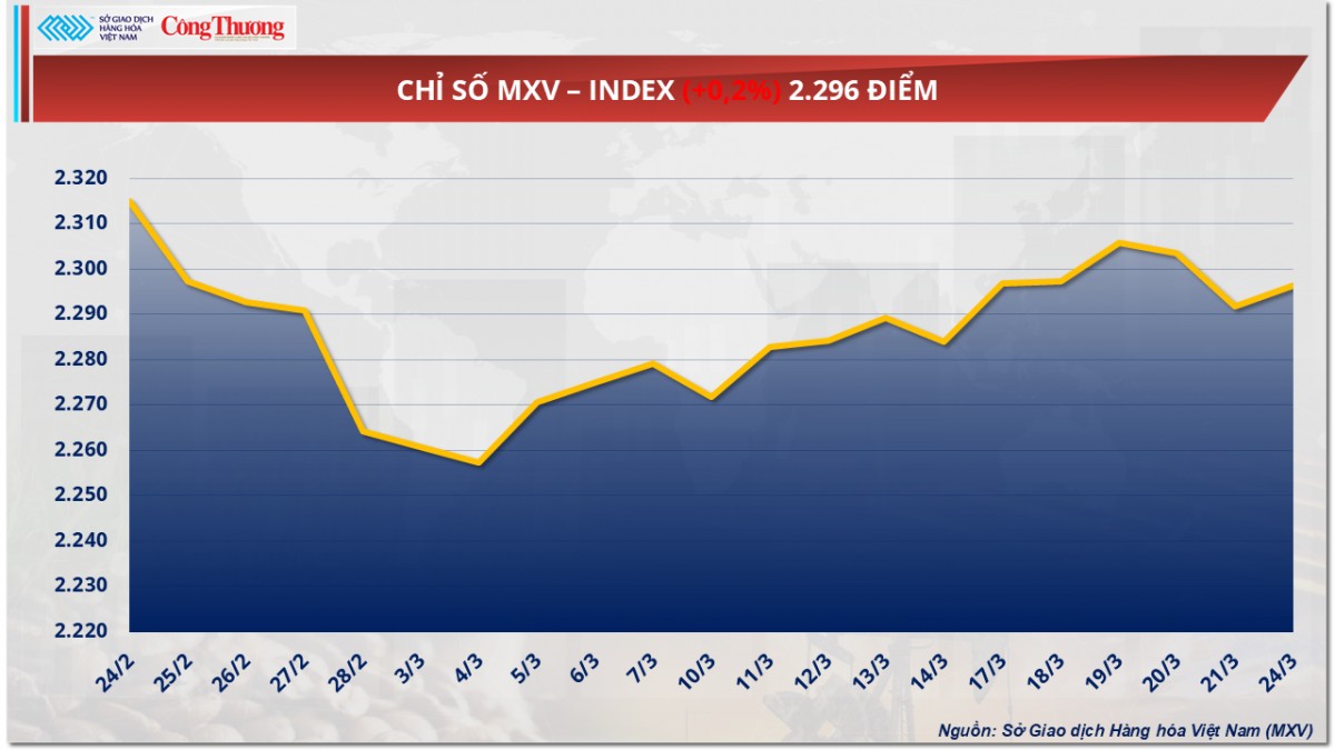 Thị trường hàng hóa: Giá đậu tương giảm về mức 370 USD/tấn