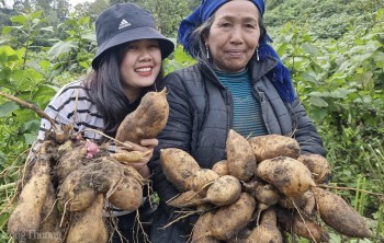 Chân dung cô gái 9X giúp bà con vùng cao đổi đời