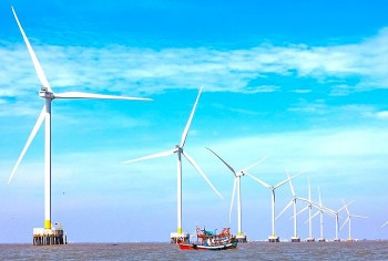 Lý do nhà đầu tư nước ngoài quan tâm đến điện gió ngoài khơi Việt Nam?