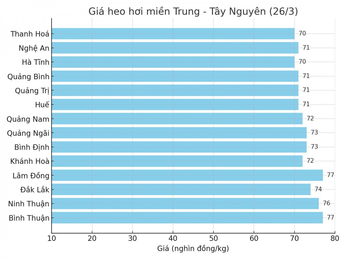 Biểu đồ giá heo hơi tại các tỉnh miền Trung - Tây Nguyên ngày 26/3. Biểu đồ giá heo hơi tại các tỉnh miền Trung - Tây Nguyên ngày 26/3.