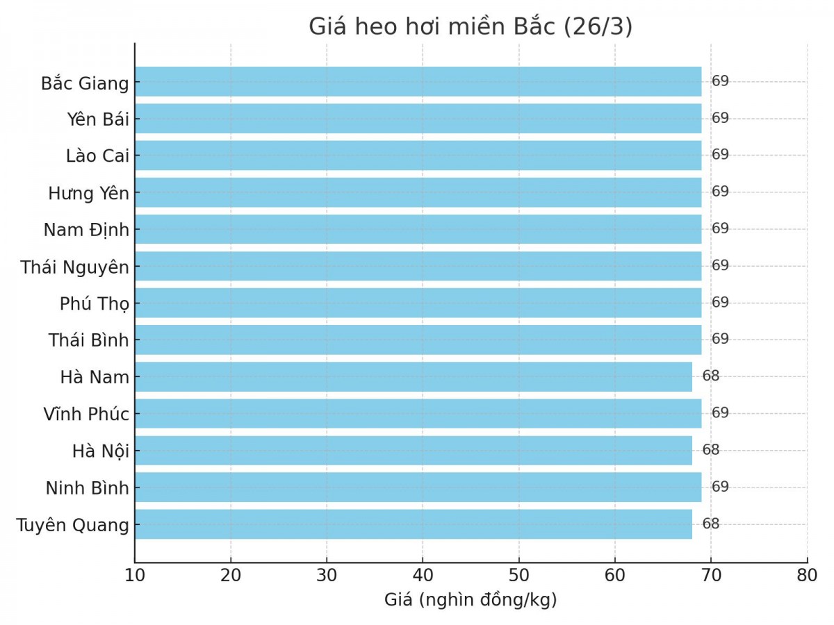 Biểu đồ giá heo hơi tại các tỉnh miền Bắc ngày 26/3. Biểu đồ giá heo hơi tại các tỉnh miền Bắc ngày 26/3.