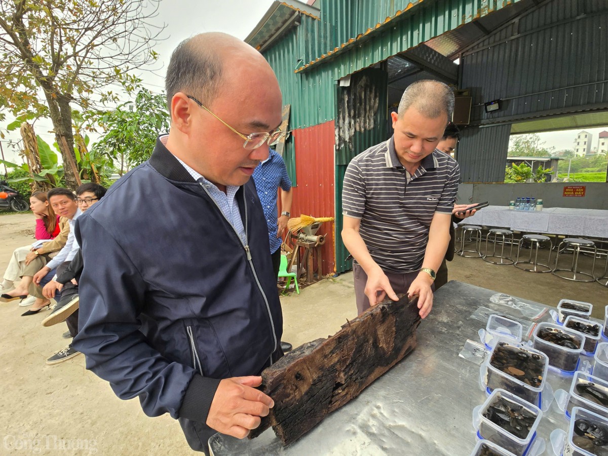 Nhà khoa học giải mã thuyền cổ ở Bắc Ninh Nhà khoa học giải mã thuyền cổ ở Bắc Ninh