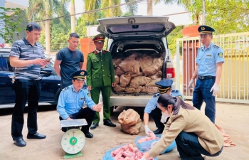 Lạng Sơn: Tạm giữ 1,5 tấn móng giò lợn không nguồn gốc
