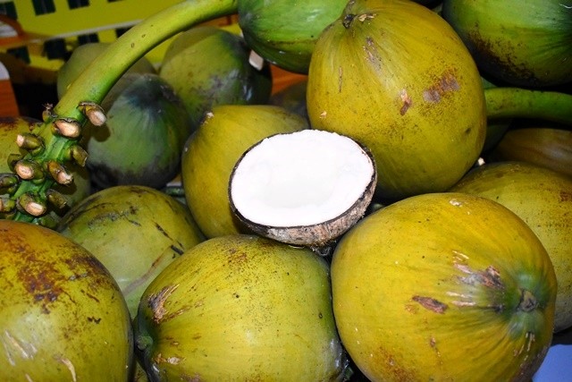 Ngành dừa Việt Nam có lợi thế cạnh tranh trên thị trường