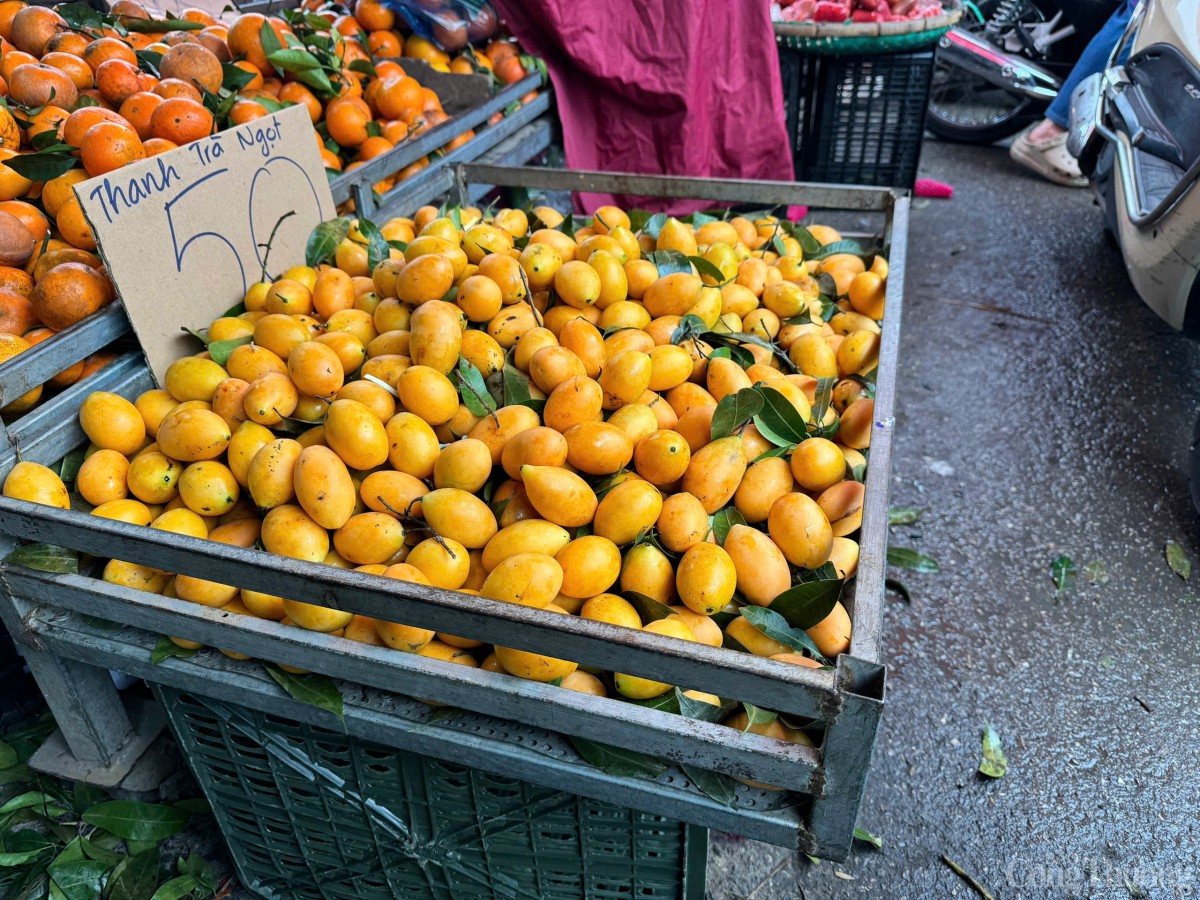 Thanh trà có loại xuất xứ từ Thái Lan có mức giá nhỉnh hơn. Thanh trà có loại xuất xứ từ Thái Lan có mức giá nhỉnh hơn.