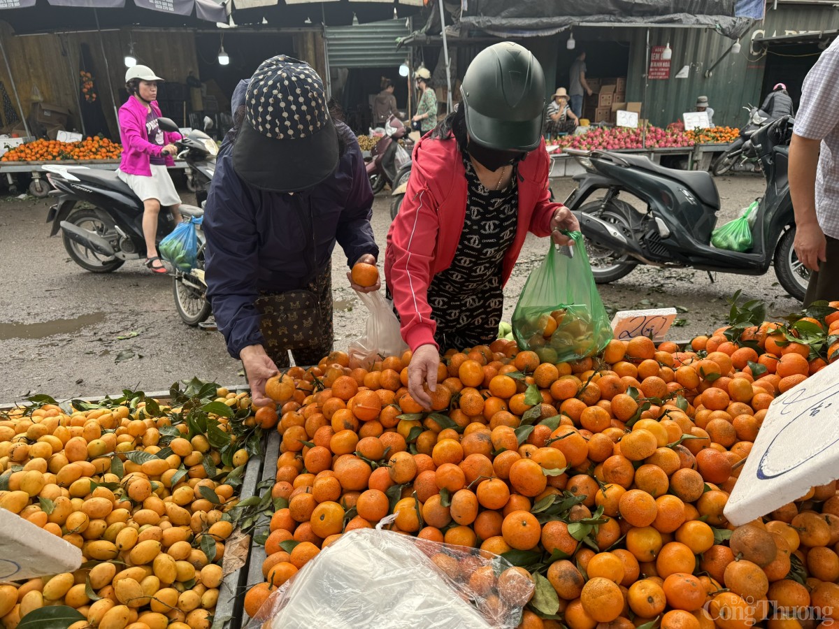 Nhiều người mua quýt sim về để thưởng thức nhân thời điểm giá rẻ Nhiều người mua quýt sim về để thưởng thức nhân thời điểm giá rẻ