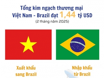Infographic | Tổng kim ngạch thương mại Việt Nam-Brazil đạt 1,44 tỷ USD