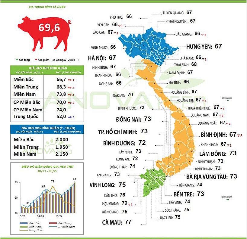 Giá heo hơi hôm nay 29/3/2025 tại các địa phương trên cả nước Giá heo hơi hôm nay 29/3/2025 tại các địa phương trên cả nước