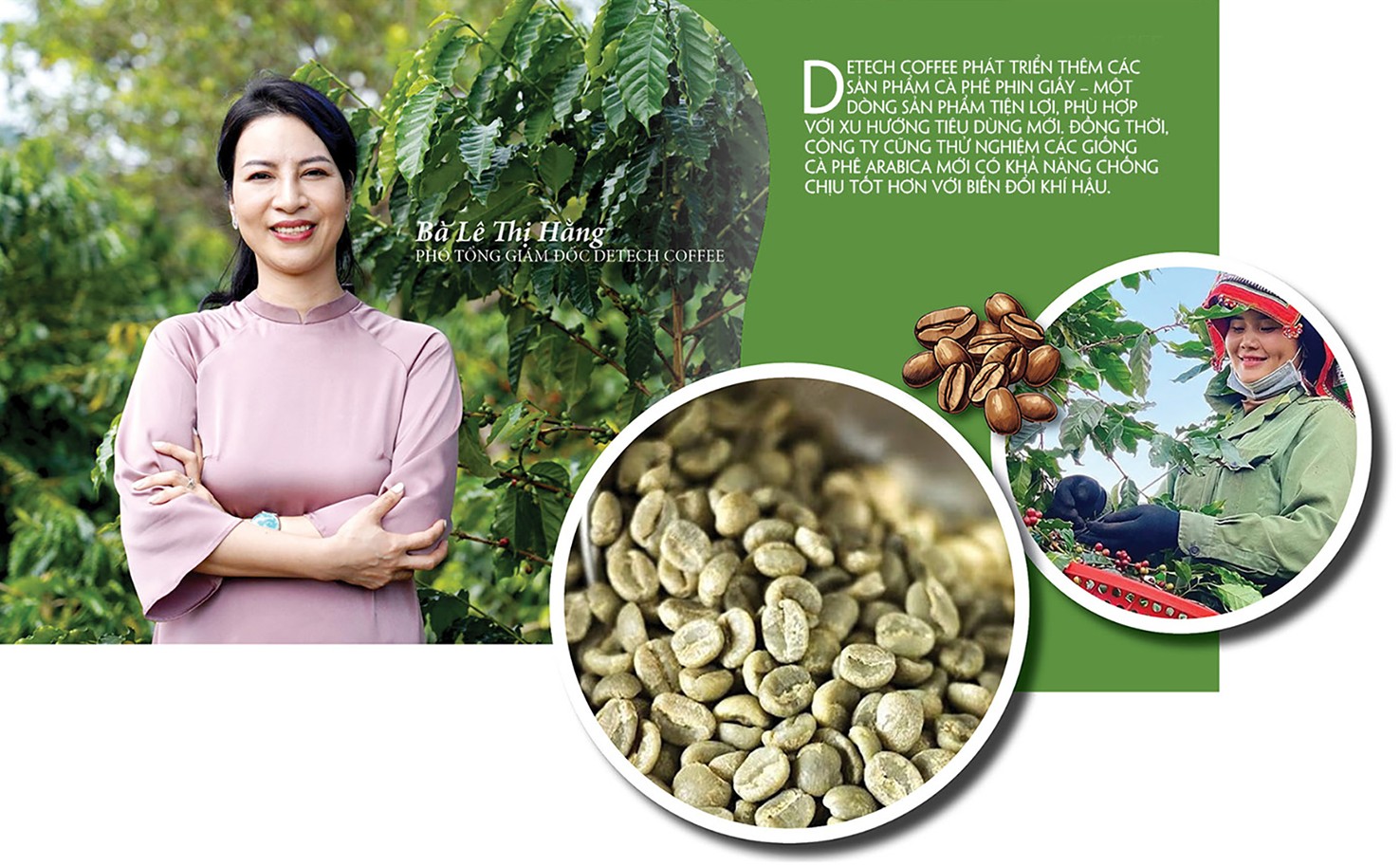 Longform | Cà phê Sơn La: Từ hạt thô đến thương hiệu đặc sản