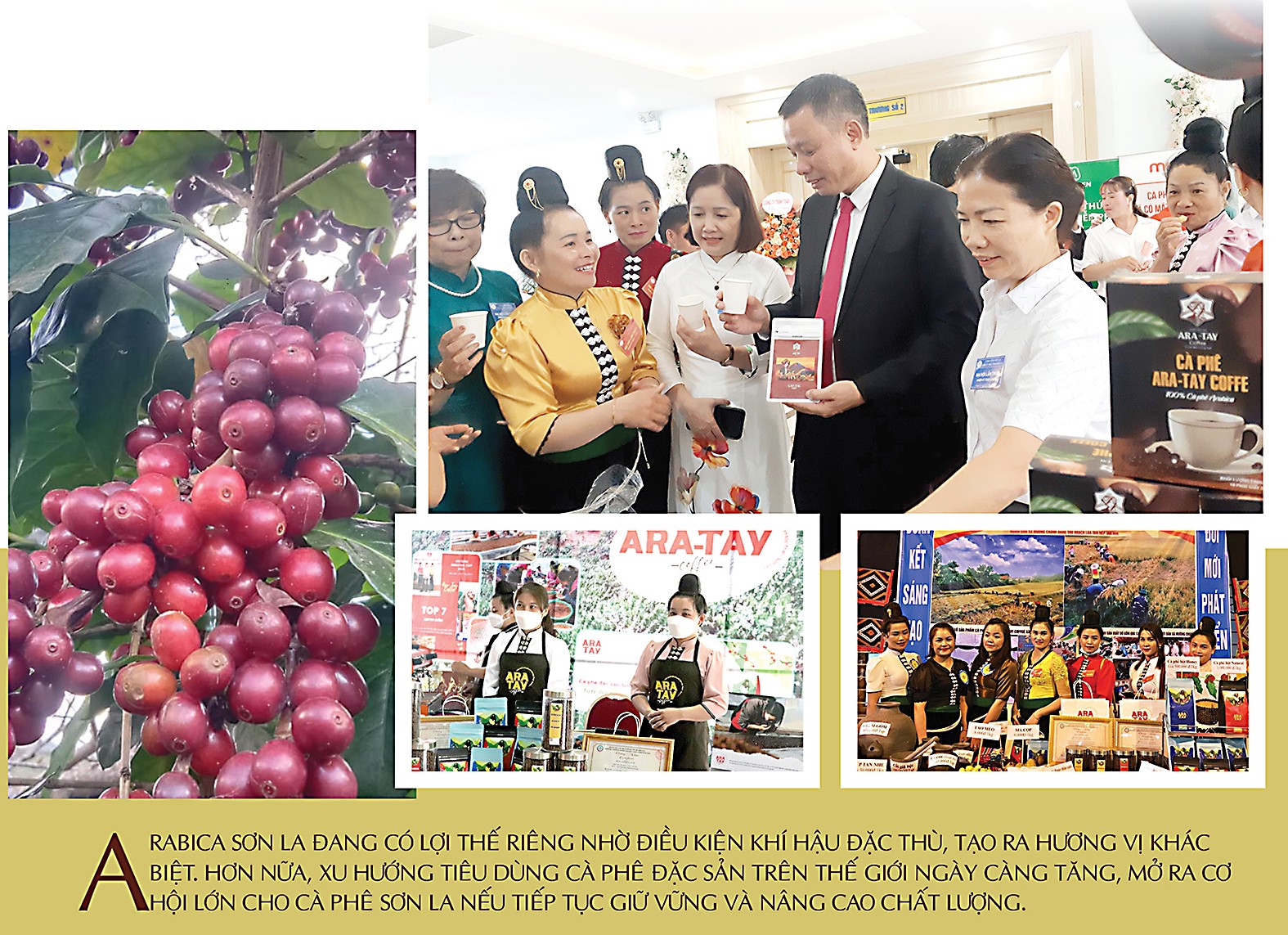 Longform | Cà phê Sơn La: Từ hạt thô đến thương hiệu đặc sản