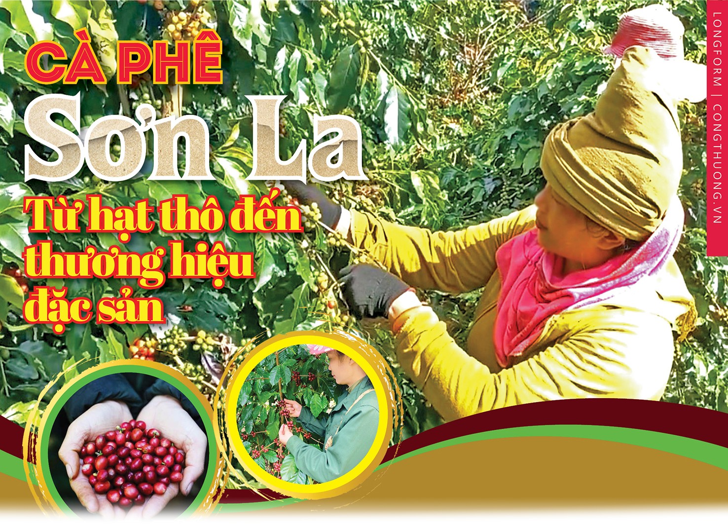 Longform | Cà phê Sơn La: Từ hạt thô đến thương hiệu đặc sản