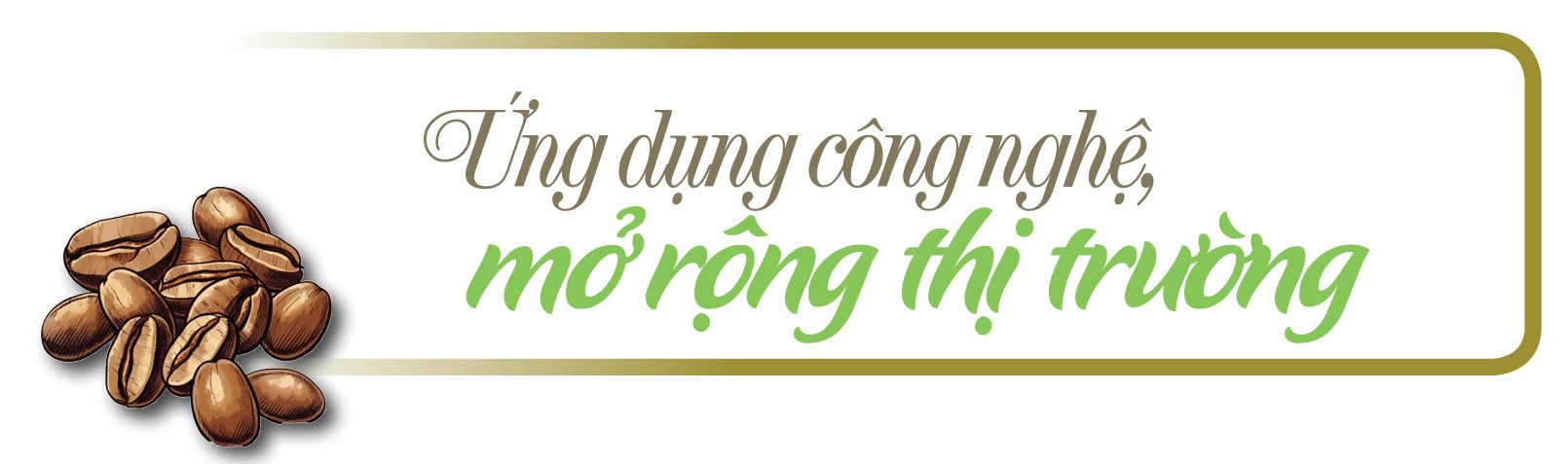 Longform | Cà phê Sơn La: Từ hạt thô đến thương hiệu đặc sản