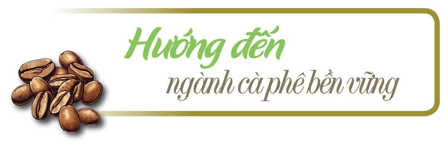 Longform | Cà phê Sơn La: Từ hạt thô đến thương hiệu đặc sản