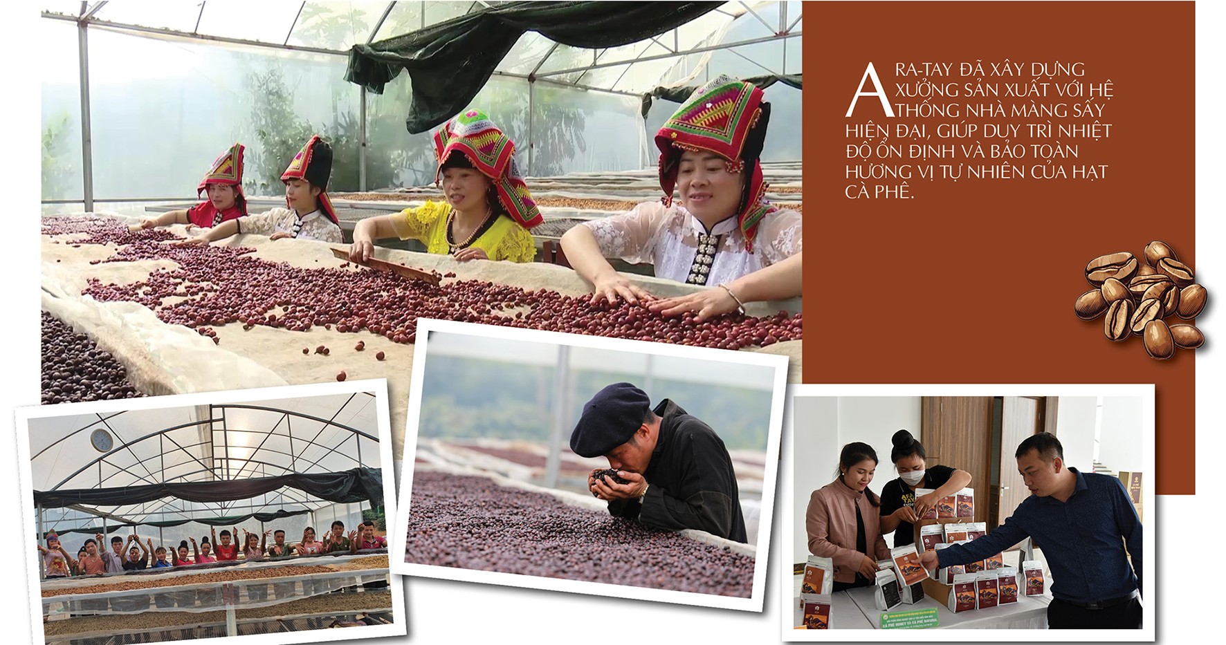 Longform | Cà phê Sơn La: Từ hạt thô đến thương hiệu đặc sản