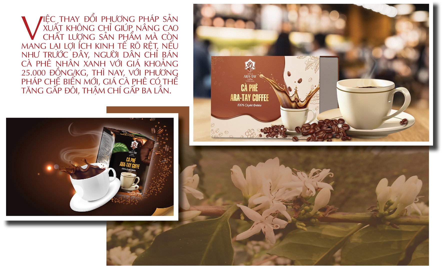 Longform | Cà phê Sơn La: Từ hạt thô đến thương hiệu đặc sản